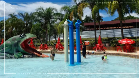 Clubinho da Baleia no Lagoa Termas Parque