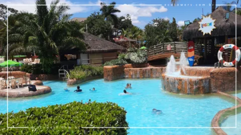 Lagoa Termas Parque em Caldas Novas: Guia Completo